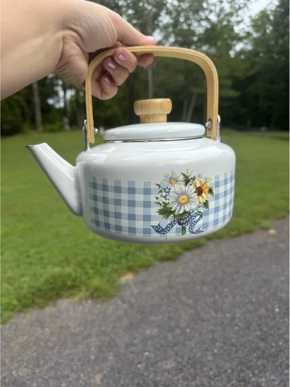 Vintage White Enamel Teapot with Blue Gingham and Floral Design